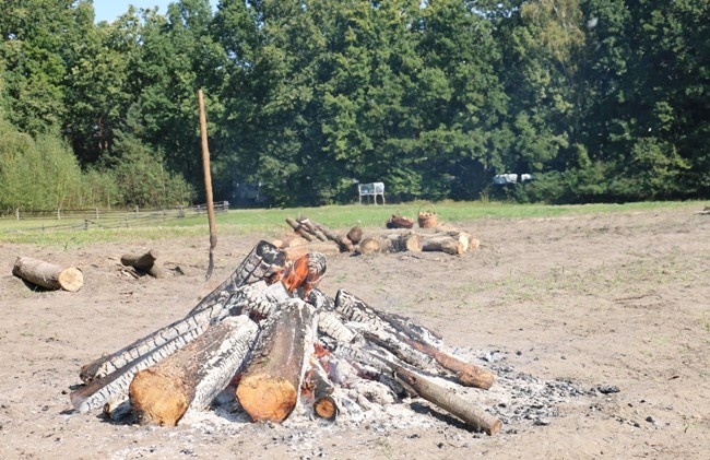 Festiwal Ziemniaka