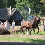 Festiwal Ziemniaka