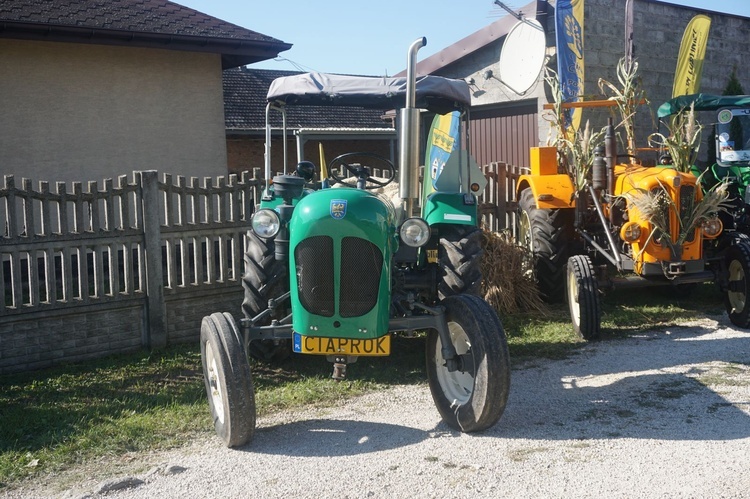 Dożynki diecezjalne w Lubecku