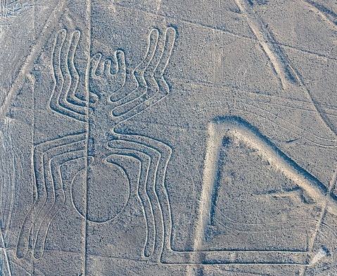 Pająk. Jeden z geoglifów Nazca