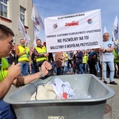 Rybnik. Pracownicy pikietowali w obronie elektrowni. Radni poparli ich stanowisko