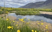 Islandia