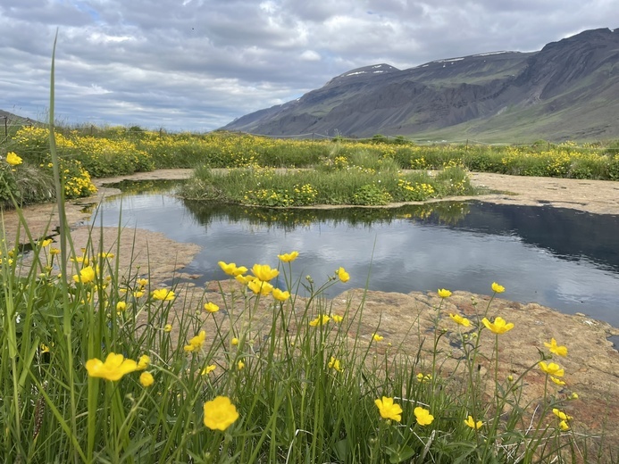 Islandia