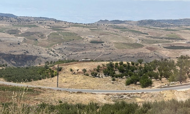 W libańskiej dolinie Bekaa. W tle - góry Antylibanu i już Syria