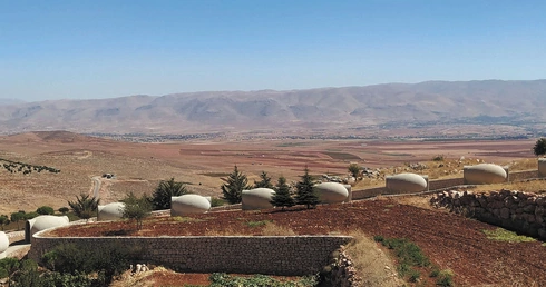 	Żyzna ziemia w dolinie Bekaa.