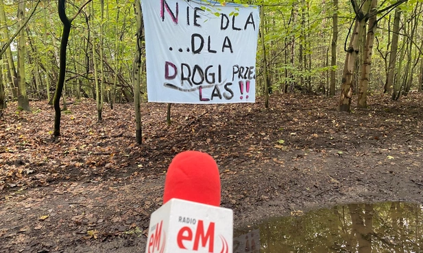 Region. Mieszkańcy nie chcą leśnej drogi łączącej Katowice z Rudą Śląską