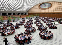 Synod potrzebny, synod niewystarczający