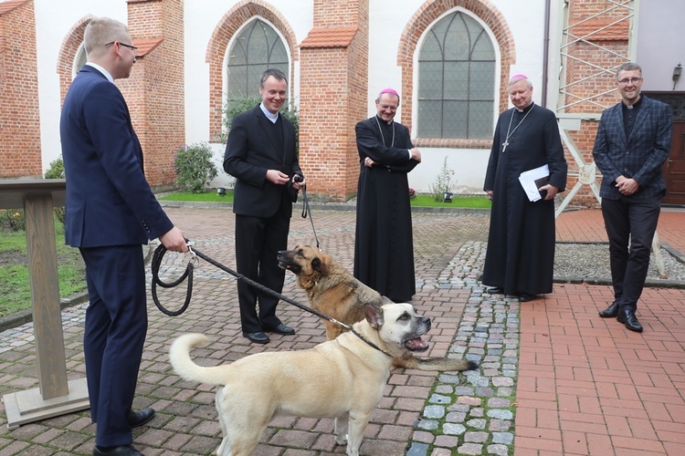 Błogosławieństwo zwierząt w GSD