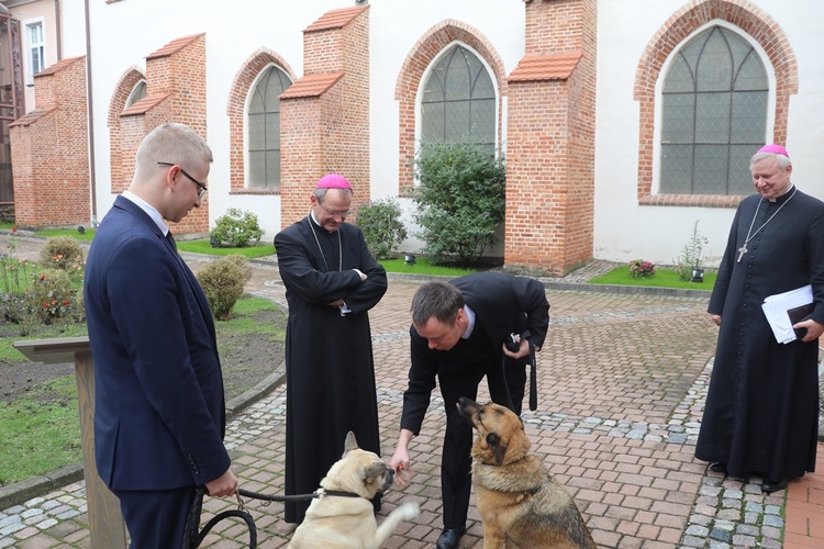 Błogosławieństwo zwierząt w GSD