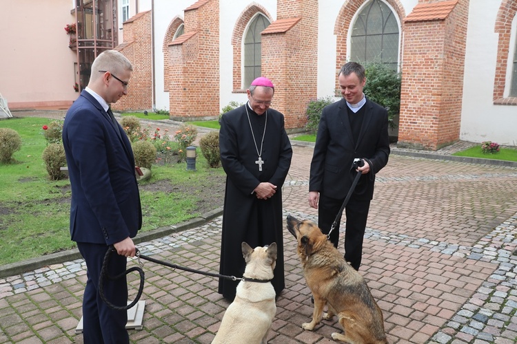 Błogosławieństwo zwierząt w GSD