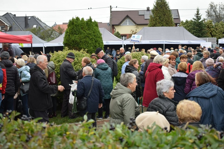 XIV Diecezjalna Pielgrzymka Kół Żywego Różańca