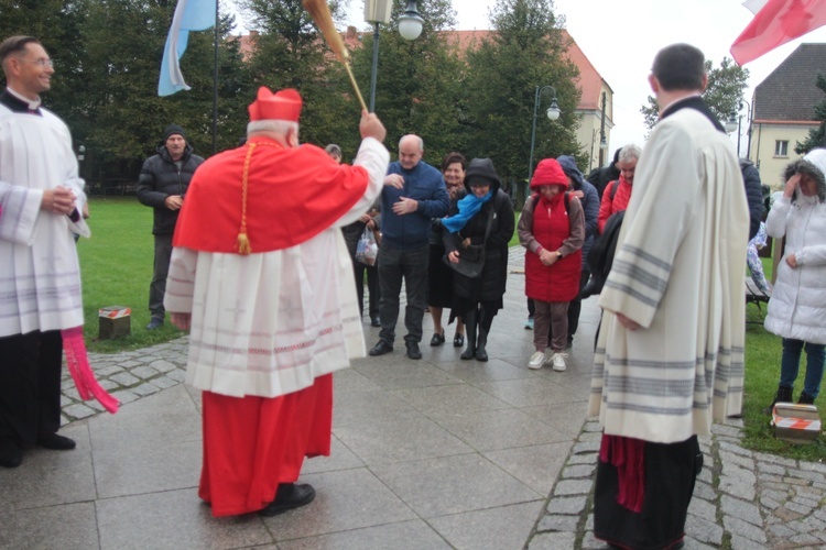 Krew papieża dla Krzeszowa