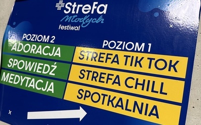 Festiwal "Strefa Młodych"