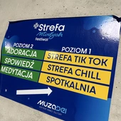 Festiwal "Strefa Młodych"