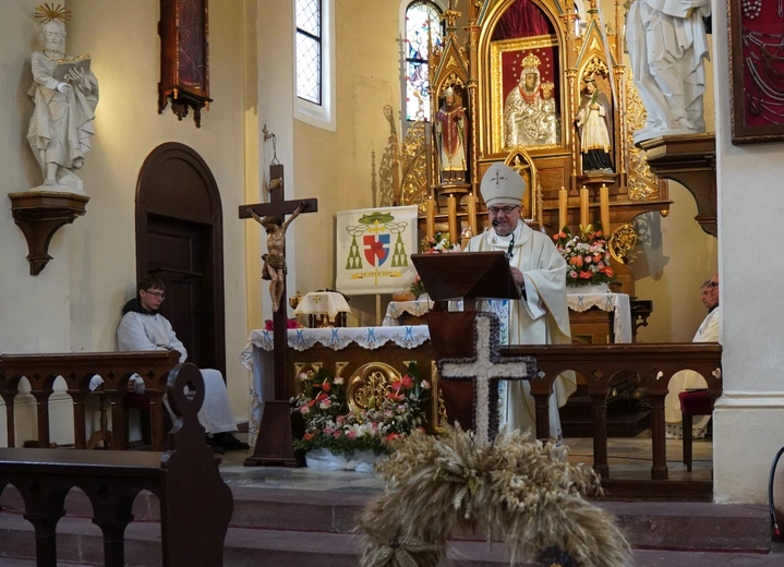 Zbudźcie się, organy, instrumencie święty!