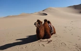 Mongolia