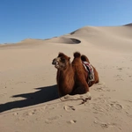 Mongolia