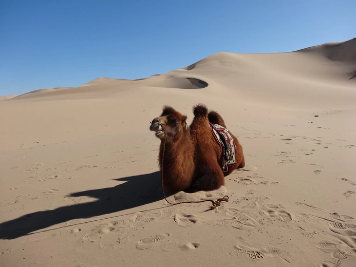 Mongolia