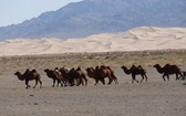 Mongolia