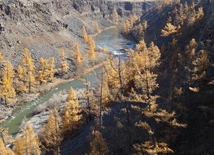 Mongolia