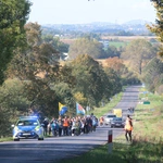Z Legnicy do Legnickiego Pola
