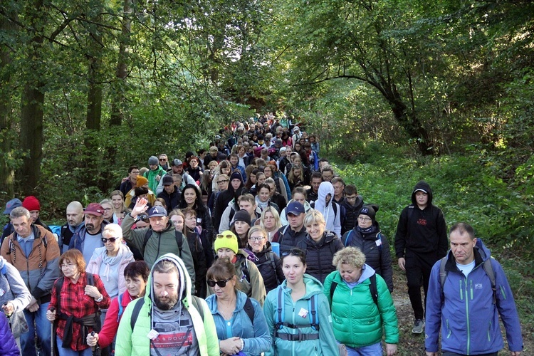 Piesza Pielgrzymka do Trzebnicy cz. 5