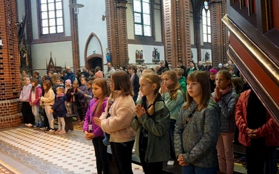 Dzień Papieski w katedrze