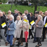 Dębica. Diecezjalny Marsz dla Życia i Rodziny 2024