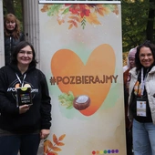 PozbierajMY, pomagajMY - tony kasztanów zebrane