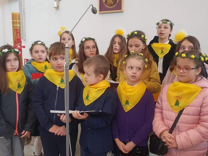 Kremówki dla Vikasha