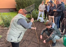 Żonkile wyrosną przy bursie w Szczecinku