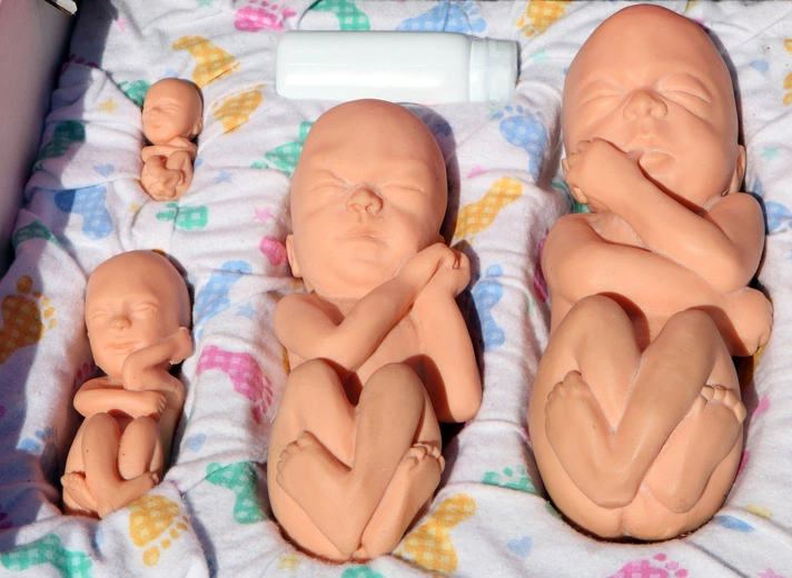 Polskie Towarzystwo Psychiatryczne: lekarz psychiatra nie wystawia skierowania na aborcję