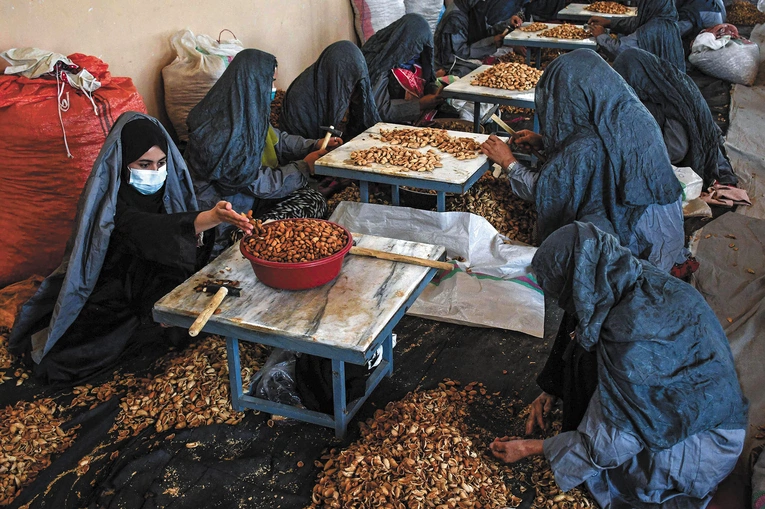 Afganistan pod rządami brodaczy