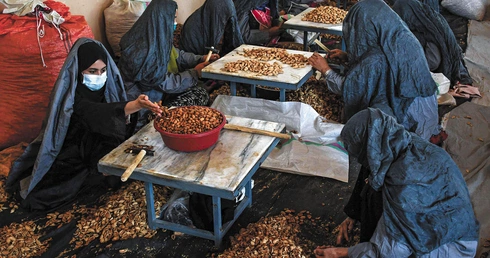 Afganistan pod rządami brodaczy