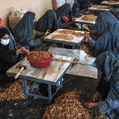 Afganistan pod rządami brodaczy