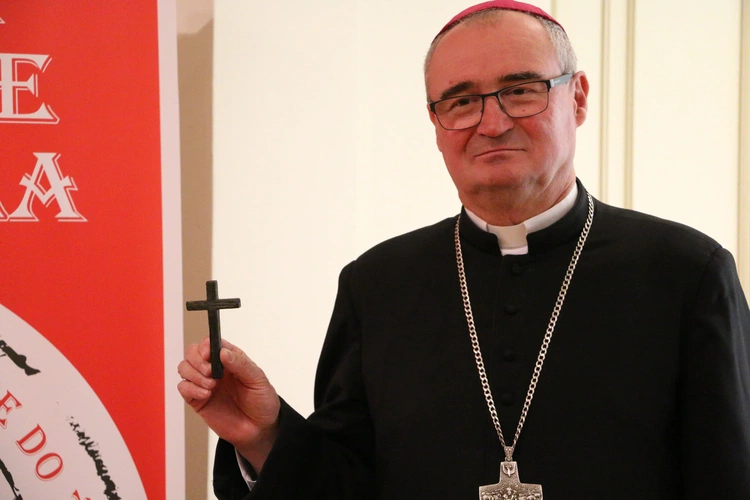 Płock. Przed jubileuszem diecezji
