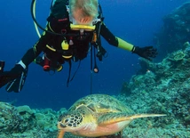 Galapagos. Nauka nurkowania w towarzystwie żółwi morskich