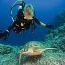 Galapagos. Nauka nurkowania w towarzystwie żółwi morskich