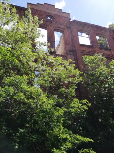 Spotkania z przyrodą: Współbrzmienie natury i sztuki