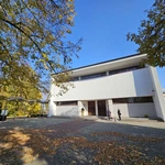 Ulmowie wędrują po Słupcu