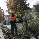 Niemieccy żołnierze pomagają w Bodzanowie
