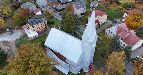 Pozbędą się szkodników drewna