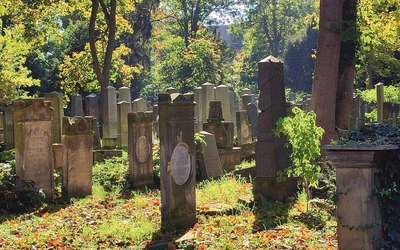 Historia ciszą opowiadana. Dlaczego warto odwiedzić Stary Cmentarz Żydowski we Wrocławiu?