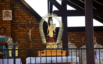 Późnogotycka figura wykonana została z lipowego drewna. Wraz z promienistą aureolą mierzy 85 cm.