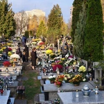 Procesja żałobna po Cmentarzu Wawrzyszewskim