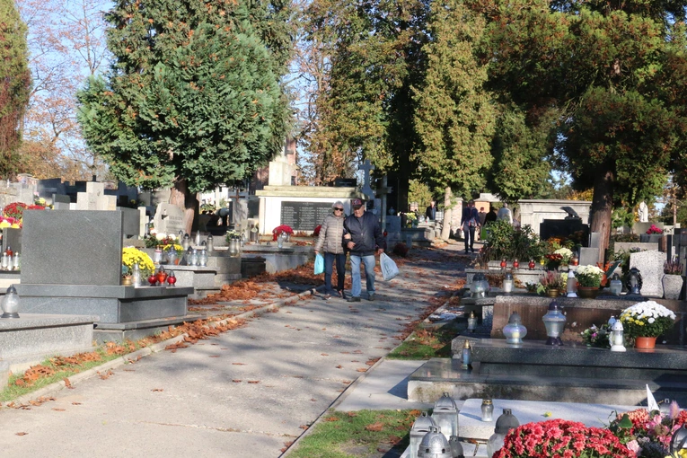 Dzień Wszystkich Świętych na cmentarzu Salwatorskim 2024