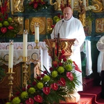 U św. Karola Boromeusza w Wołowie