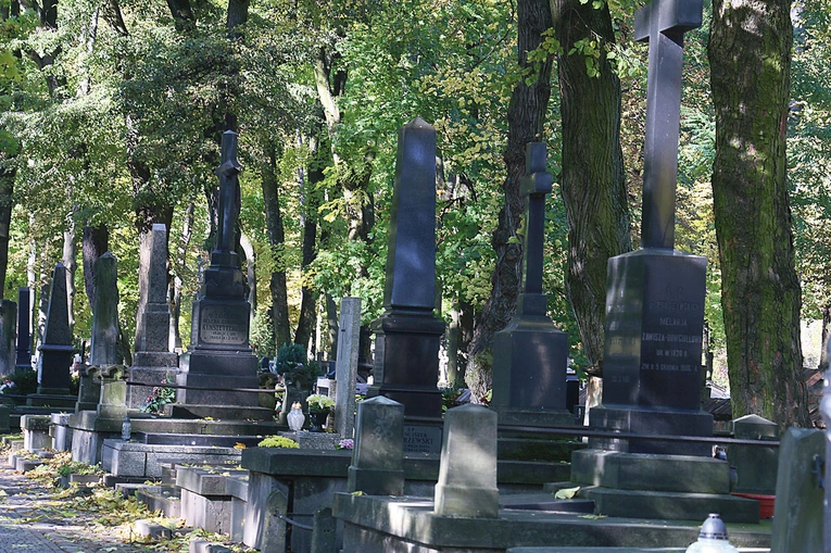 Najstarszy lubelski cmentarz. 