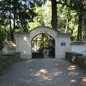 Rekordowa kwesta na rzecz sandomierskich nekropolii