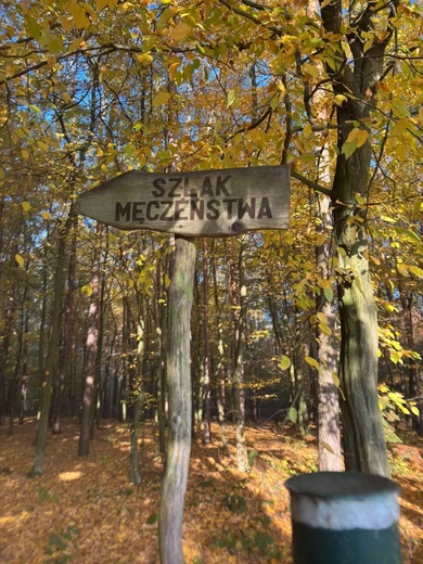 Patriotyczny biwak w Bieszczadach